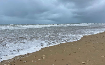 TVT versus Bulkamid, suivi à trois ans d’un essai randomisé