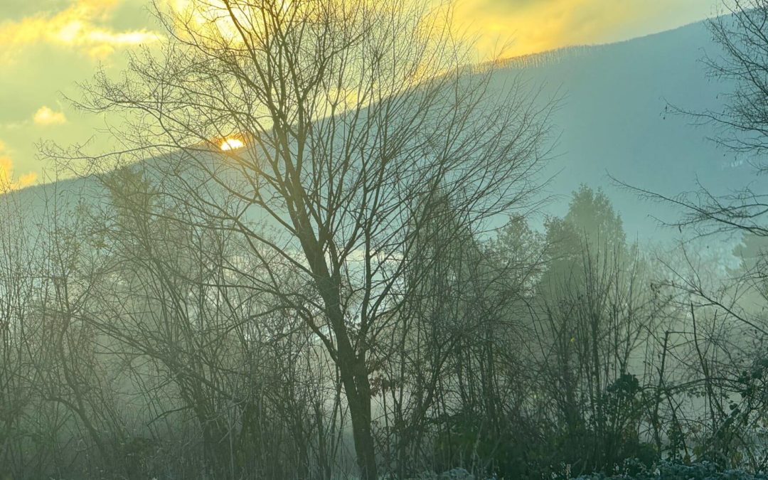 Peut-on accoucher après une chirurgie de l’incontinence ou du prolapsus génital ?