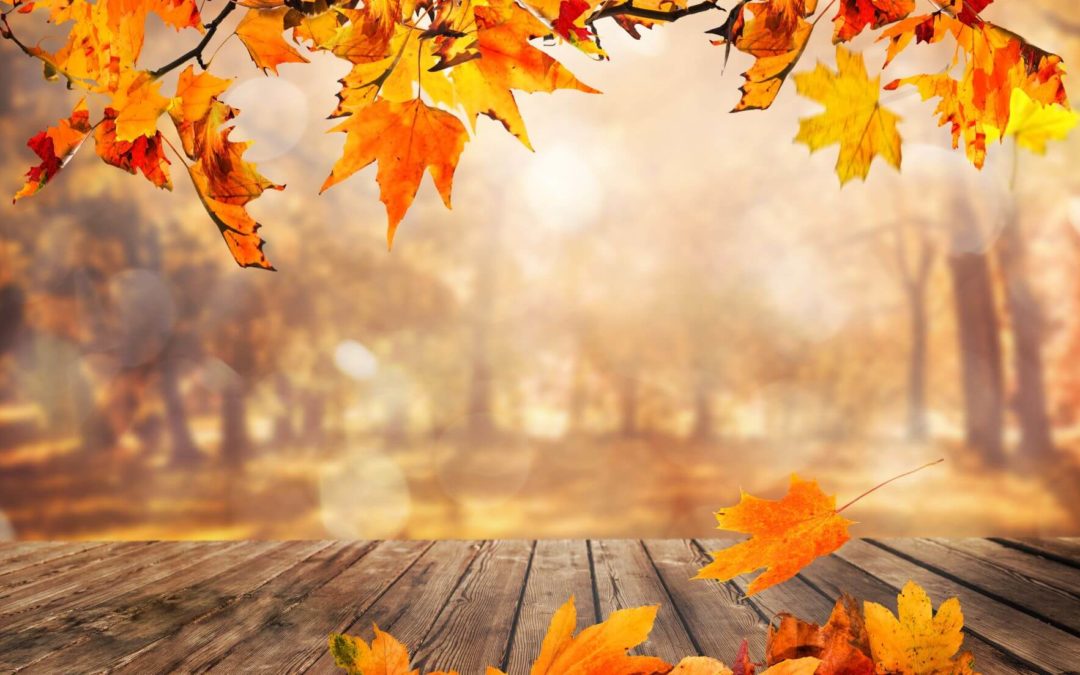 Prolapsus génital: le retour de la chirurgie vaginale?