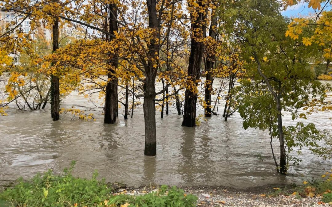 Laser Erbium-Yag pour traiter l’incontinence urinaire ? Résultats d’un essai randomisé multicentrique