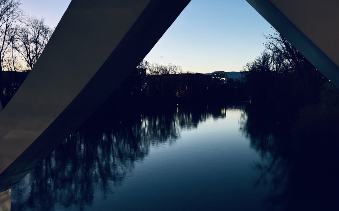 Le Pelviboard est de retour en 2025 !